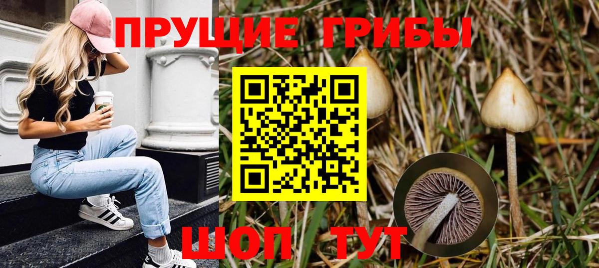 Псилоцибиновые грибы мухоморы Барнаул