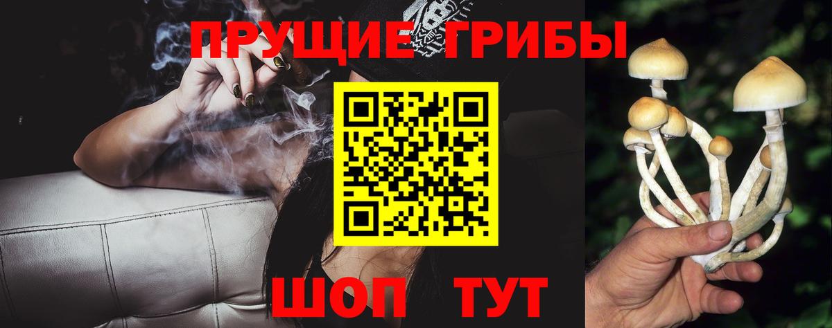 Галлюциногенные грибы мухоморы  Псилоцибиновые грибы Psilocybine cubensis  закладки  Вход с VPN  Барнаул 